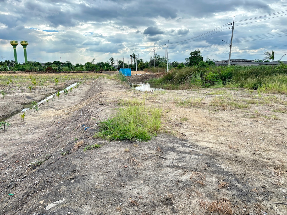 Purple plot of land, 20 rai, in Soi Phetkasem 130, beautiful plot, partially filled in and made a garden furrow to plant coconuts. Loading...