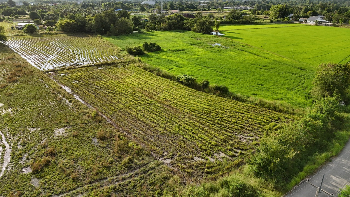 Empty land for sale dark purple chart industrial area Phanat Nikhom District Chonburi Province Loading...