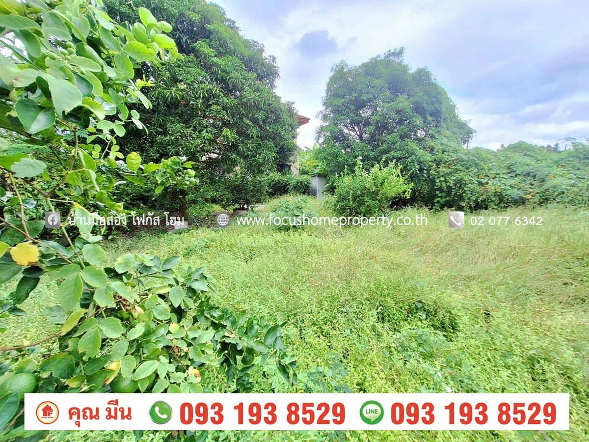 Empty land for sale, 150 square wah, Chollada Village, Bang Bua Thong. Loading...