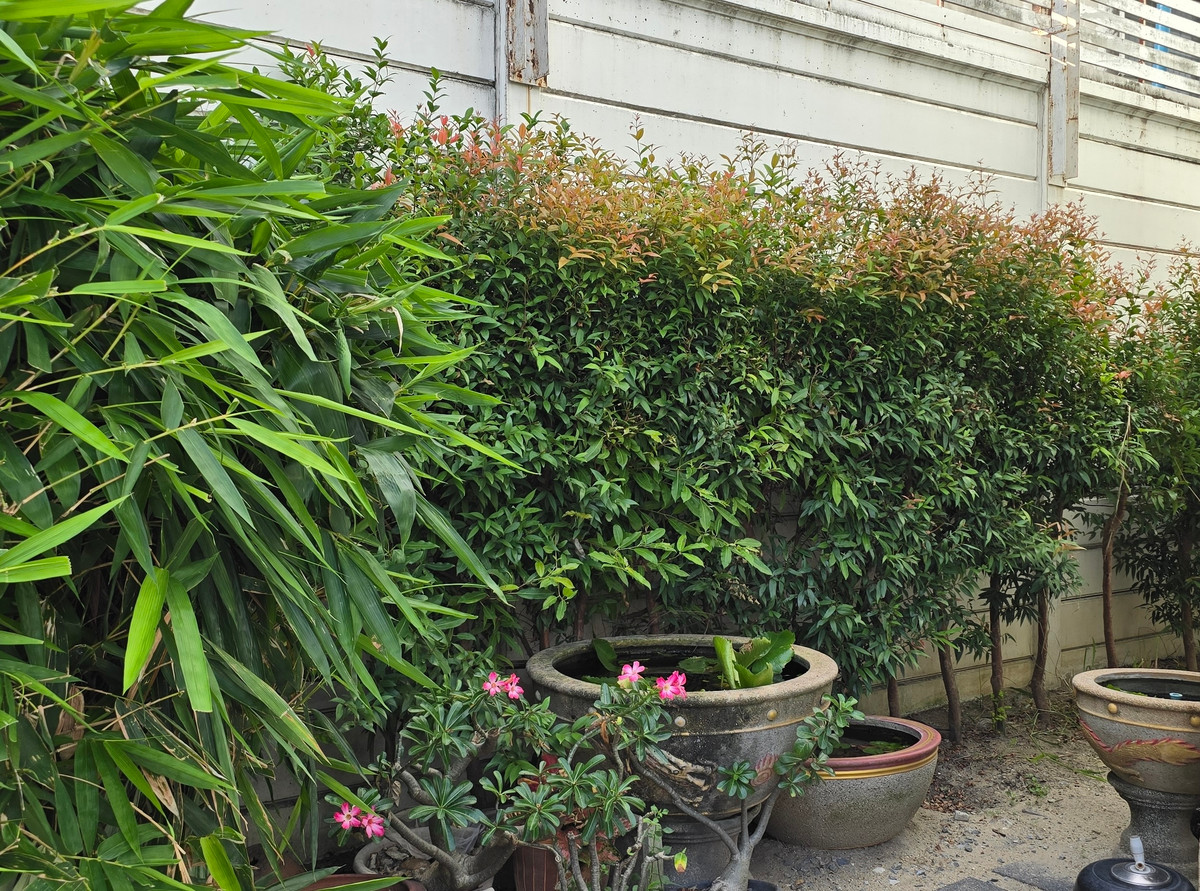 ขายทาวน์โฮมลาดพร้าว101 แฮปปี้แลนด์ : 🌟 “ทาวน์โฮม 3 ชั้นใจกลางลาดพร้าว | บ้านกลางเมือง ลาดพร้าว 87” สไตล์โมเดิร์น เรียบหรู อยู่สบาย ใกล้ทุกจุดหมายในเมืองใหญ่