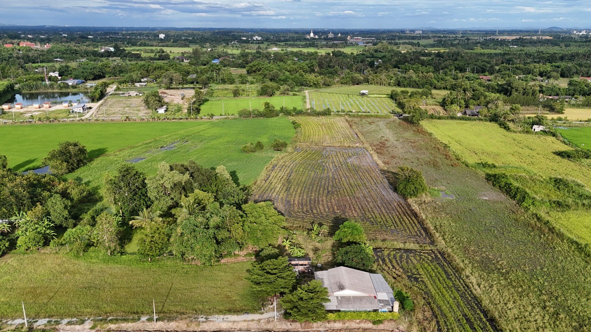 Empty land for sale dark purple chart industrial area Phanat Nikhom District Chonburi Province Loading...