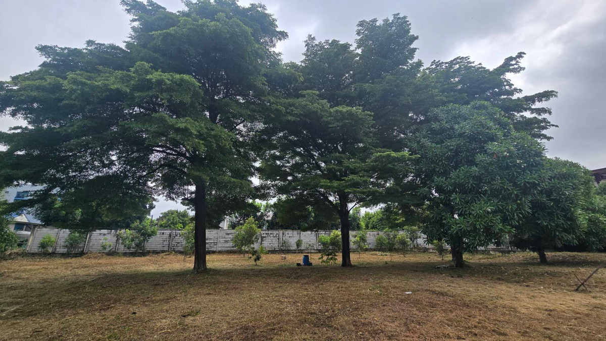 ขายที่ดินนวมินทร์ รามอินทรา : ขายที่ดินถมแล้ว แปลงใหญ่ ทำเลดี ซอยพระยาสุเรนทร์ 21 แยก 3 – คลองสามวา ติดหมู่บ้าน เดอะเซนโทร รามอินทรา109 เนื้อที่ 514 ตารางวา ถมเรียบร้อยแล้ว หน้ากว้าง 48 เมตร ลึก 42 เมตร