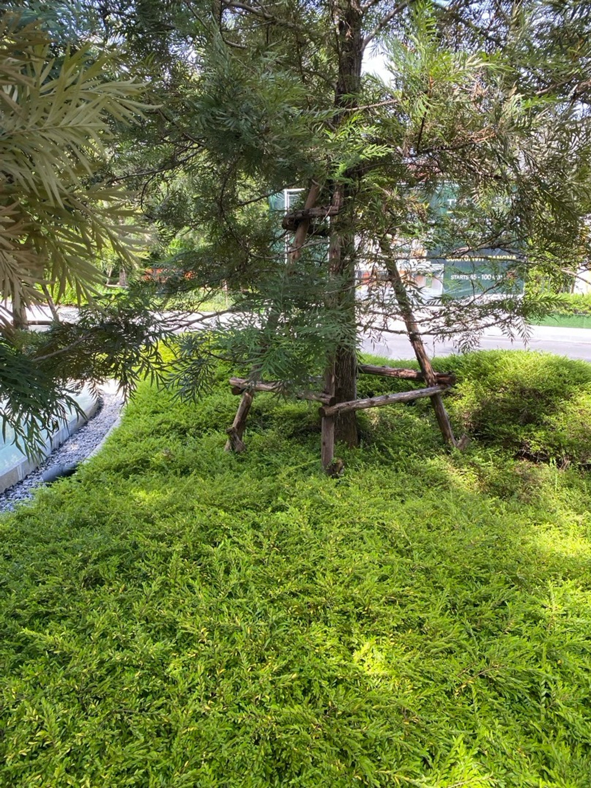 ขายบ้านสุขุมวิท อโศก ทองหล่อ : ขายด่วน! บ้านเดี่ยวหรูมีระดับ ใก้ลทางขึ้นทางด่วน ใกล้สถานีรถไฟฟ้า สุขุมวิท-แยกบางนา การเดินทางสะดวก