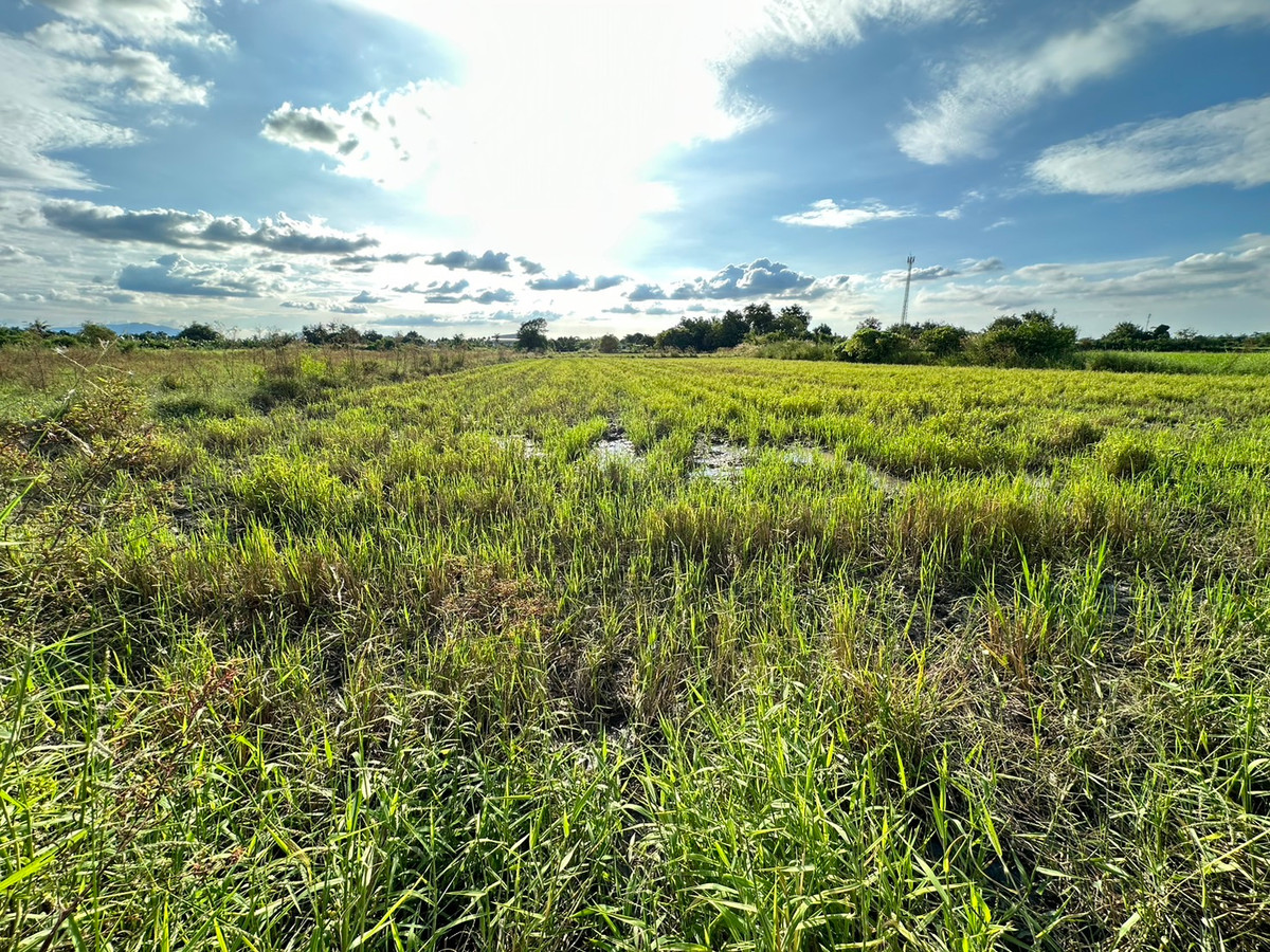 Empty land for sale dark purple chart industrial area Phanat Nikhom District Chonburi Province Loading...