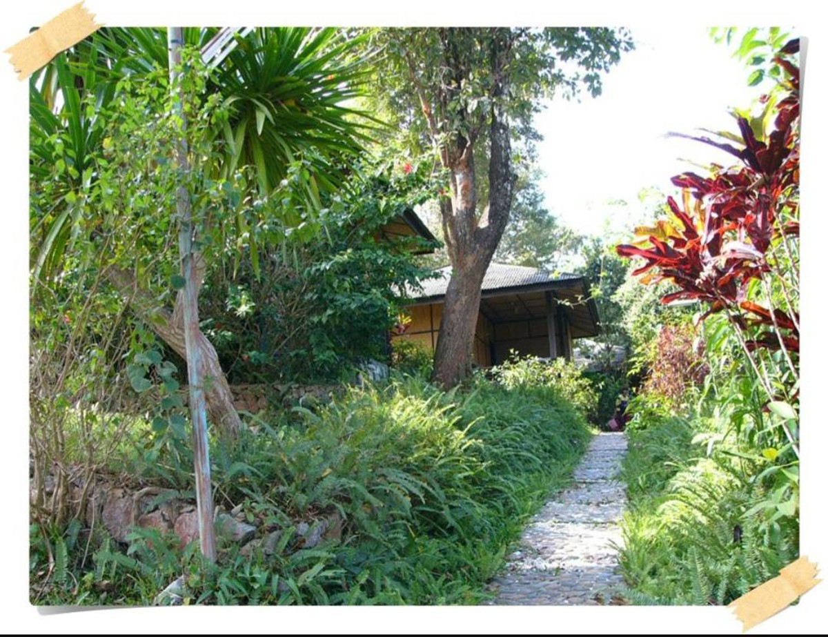 🔥Urgent sale🔥 Land in prime location, Phu Ruea, Ban Nong Bong, Nong Bua Subdistrict, Phu Ruea District, Loei Province. Loading...