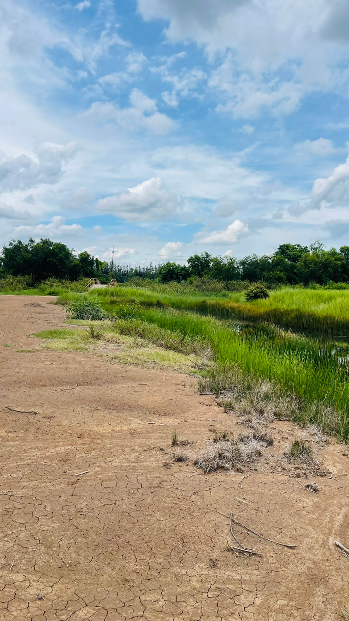 ขายที่ดินนครนายก (คลอง 15) เนื้อที่ 22-0-67.6 ไร่ Loading...