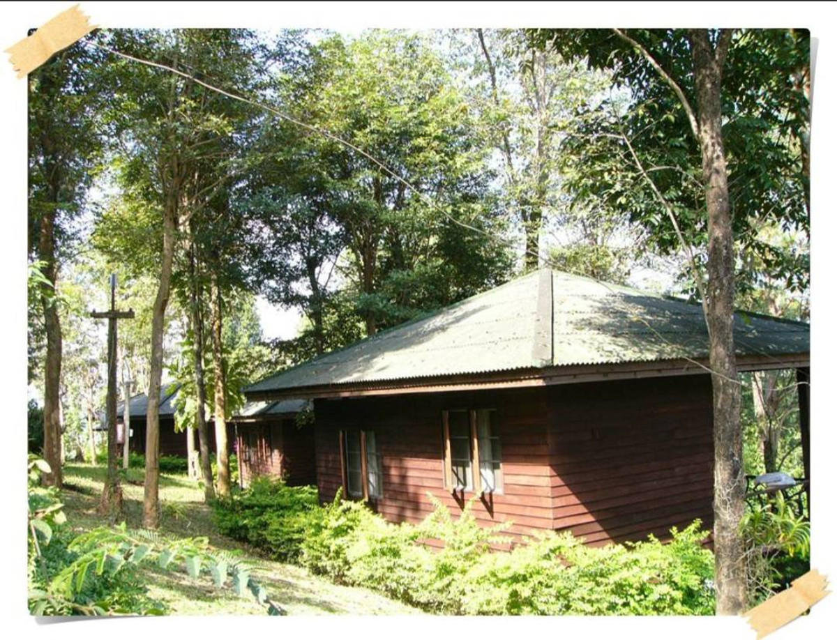 🔥Urgent sale🔥 Land in prime location, Phu Ruea, Ban Nong Bong, Nong Bua Subdistrict, Phu Ruea District, Loei Province. Loading...