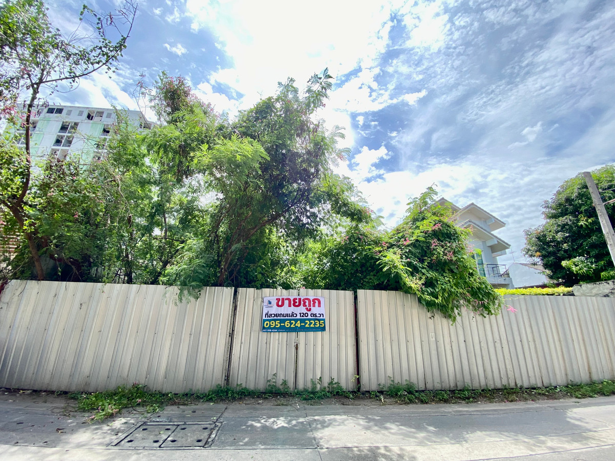 For SaleLandNonthaburi, Bang Yai, Bangbuathong : 94883 - Cheap sale, beautiful land, completed, Soi Ngamwongwan 25, Intersection 25, convenient travel, entering and exiting in many ways. Near the Si Rat Expressway Famous international university and school, Wat Bua Khwan