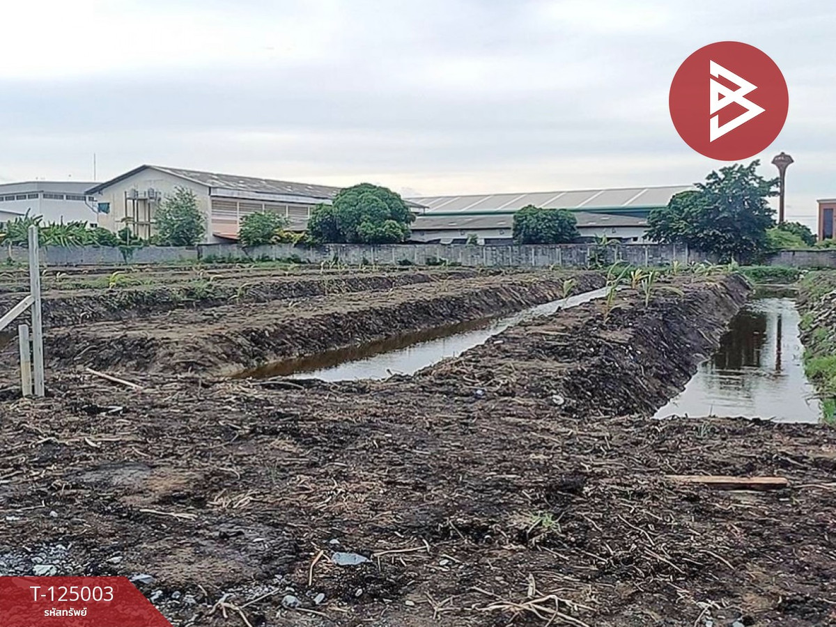 ขายที่ดิน เนื้อที่ 4 ไร่ 1 งาน 81 ตร.วา บางขุนเทียน กรุงเทพมหานคร Loading...