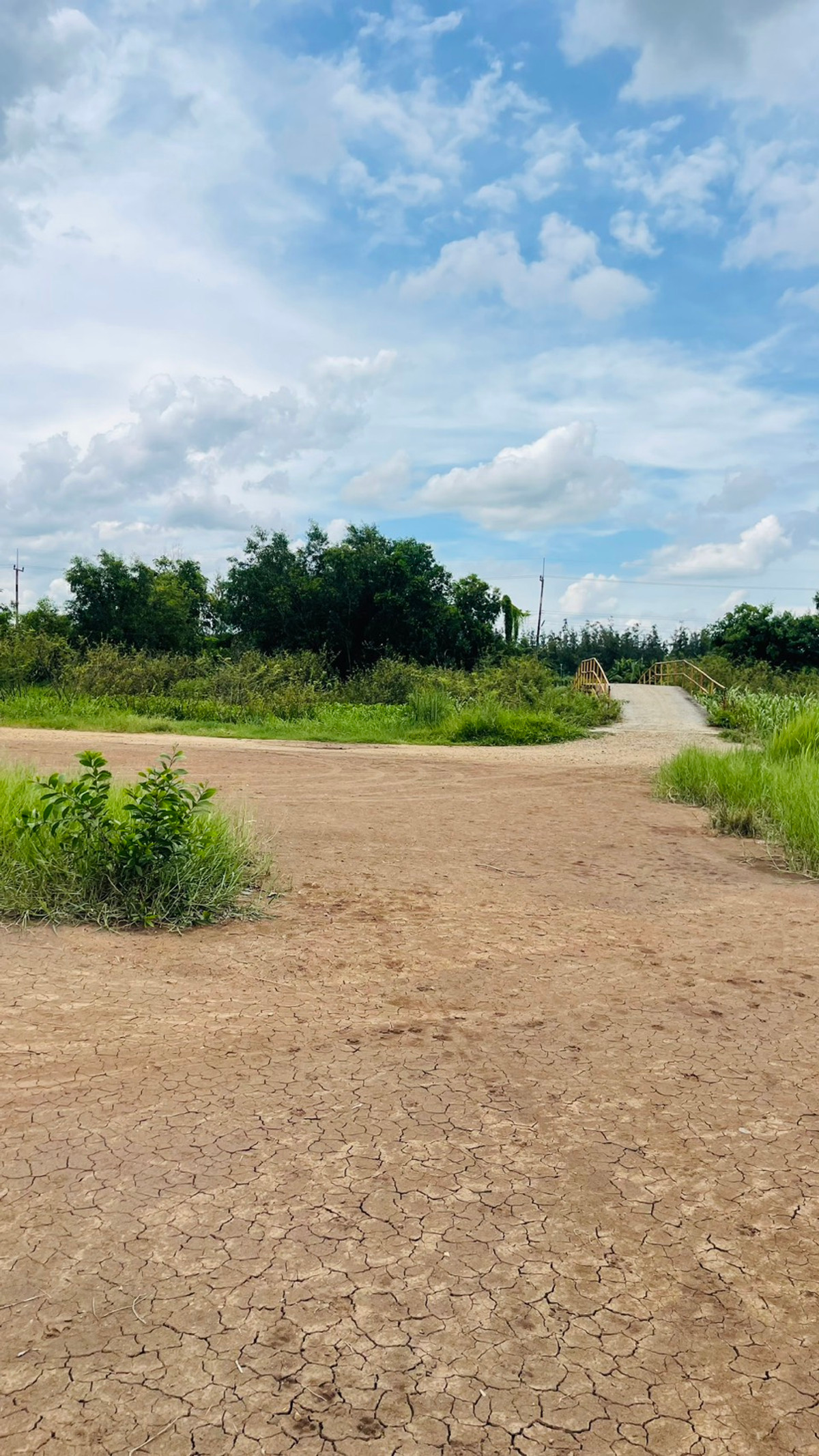 ขายที่ดินนครนายก (คลอง 15) เนื้อที่ 22-0-67.6 ไร่ Loading...