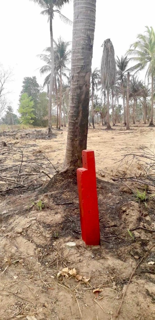 ขายที่ดินพัทยา บางแสน ชลบุรี สัตหีบ : 🔥ขายด่วน🔥ที่ดินราคาพิเศษ💥ใกล้พัทยา ต.โป่ง บางละมุง ชลบุรี ที่ดินติดที่สาธารณะ ใกล้มอเตอร์เวย์