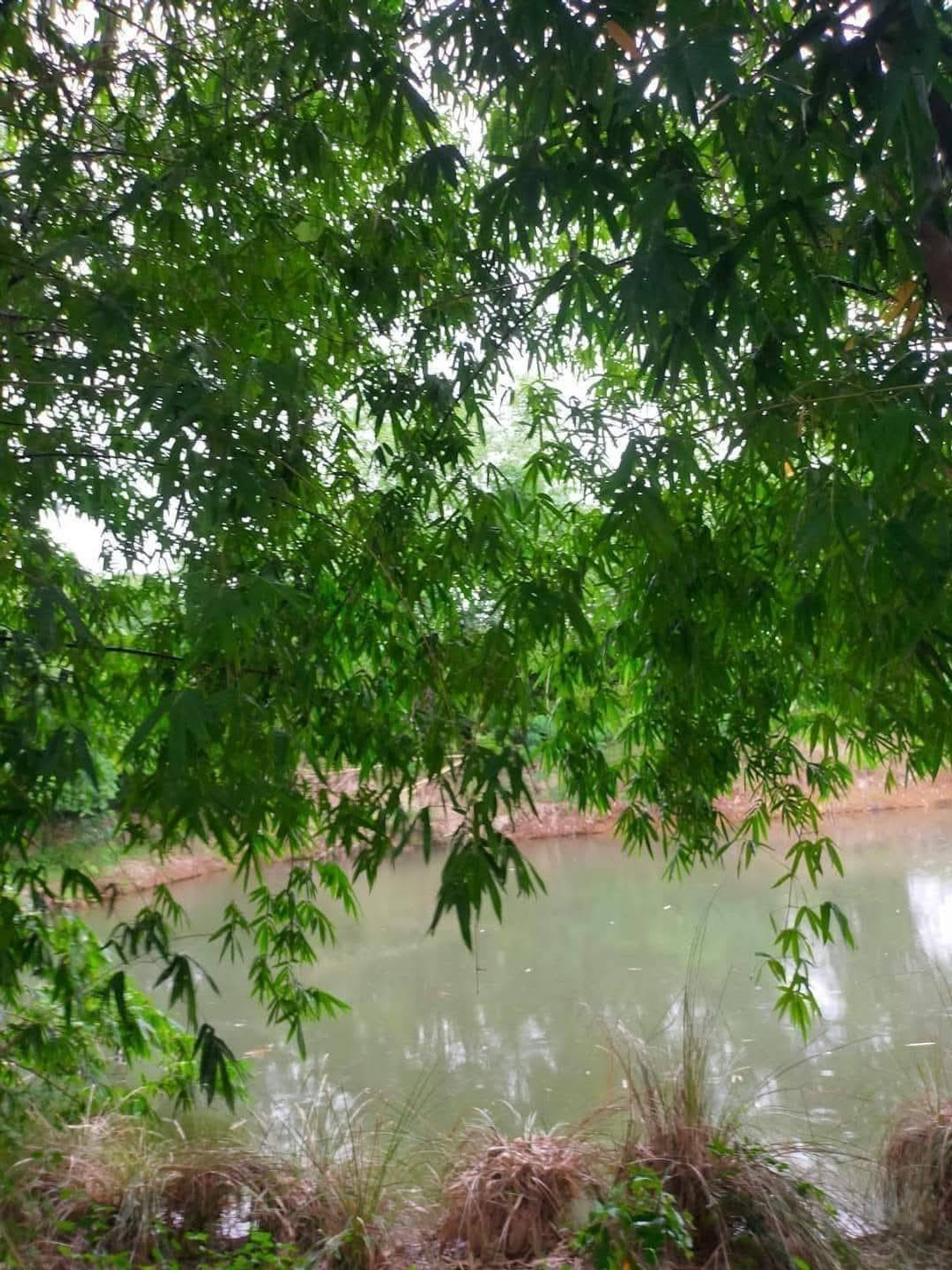 ðģ āļāļēāļĒāļāļĩāđāļāļīāļ 165 āđāļĢāđ āđāļāļāļŠāļēāļĢ āļ.āļŠ.3āļ. āļāļīāļāļ āļđāđāļāļē āļ§āļīāļ§āļŠāļ§āļĒāļāļĢāļĢāļĄāļāļēāļāļī āļ.āļ§āļąāļāļŠāļ°āļāļļāļ āļ.āđāļĨāļĒ ð Loading...