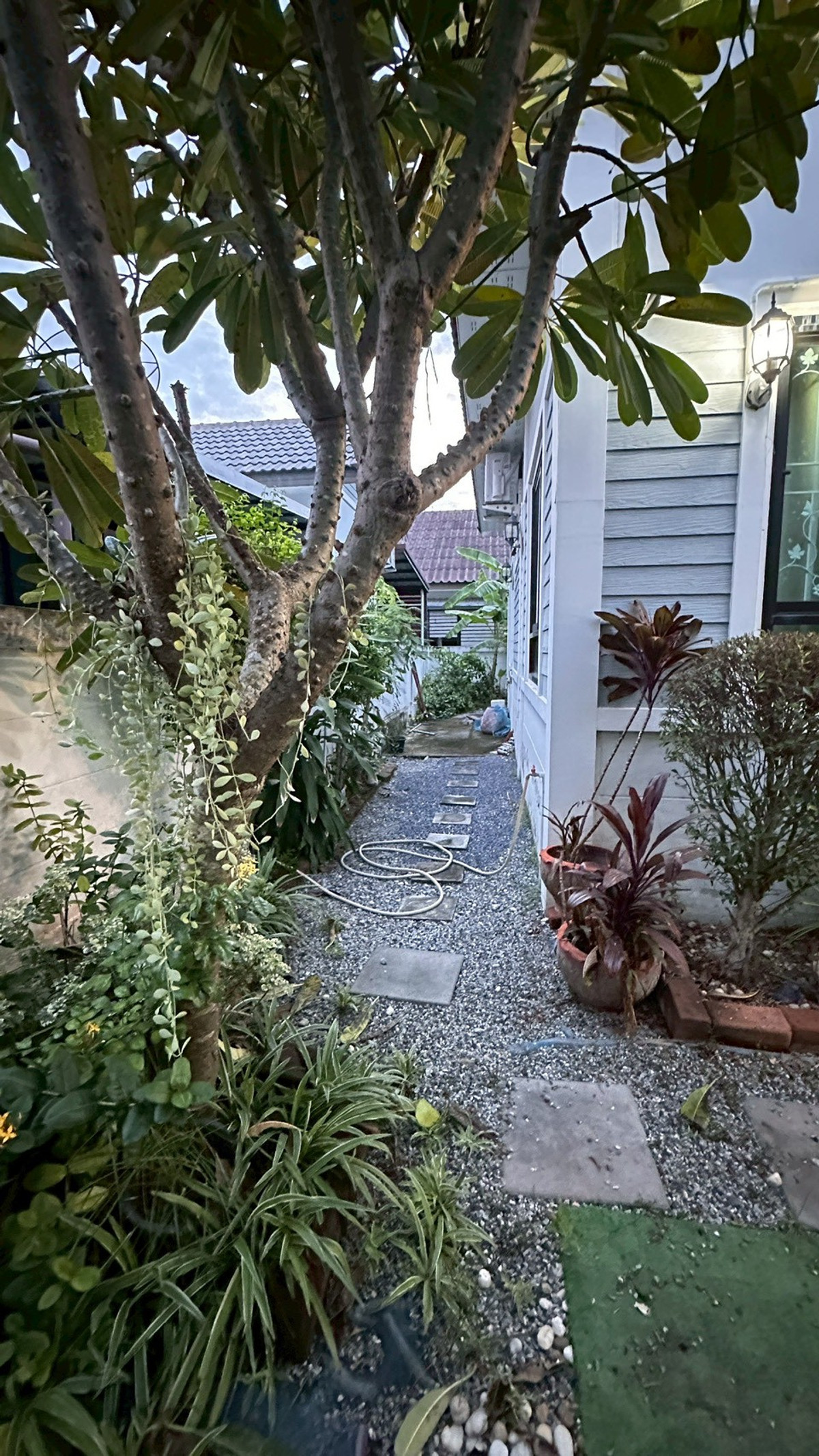 ขายบ้านพัทยา บางแสน ชลบุรี สัตหีบ : 94893 - ขายบ้านเดี่ยว ชั้นเดียว 58 ตรว. หมู่บ้านนาราวิล (Naraville) ทำเลดี ใกล้นิคมอมตะนคร พานทอง ชลบุรี