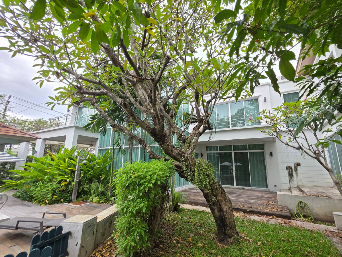 Panya Village Pattanakarn 30 Rent: 125sqwah 480sqm. 4bed 5bath 165,000/mth. Am: 0656199198 Loading...