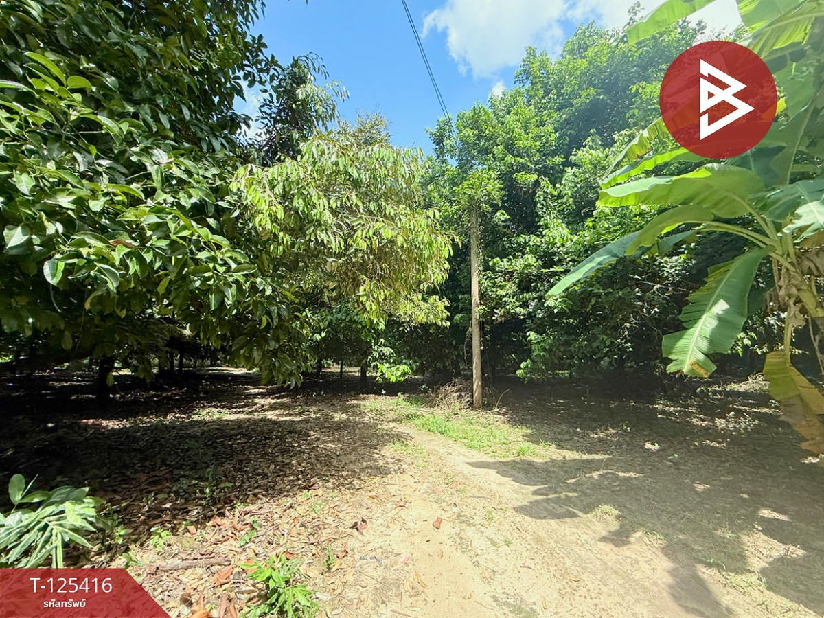 Land for sale, area 8 rai 2 ngan 19.9 sq m, Khlong Narai, Chanthaburi. Loading...