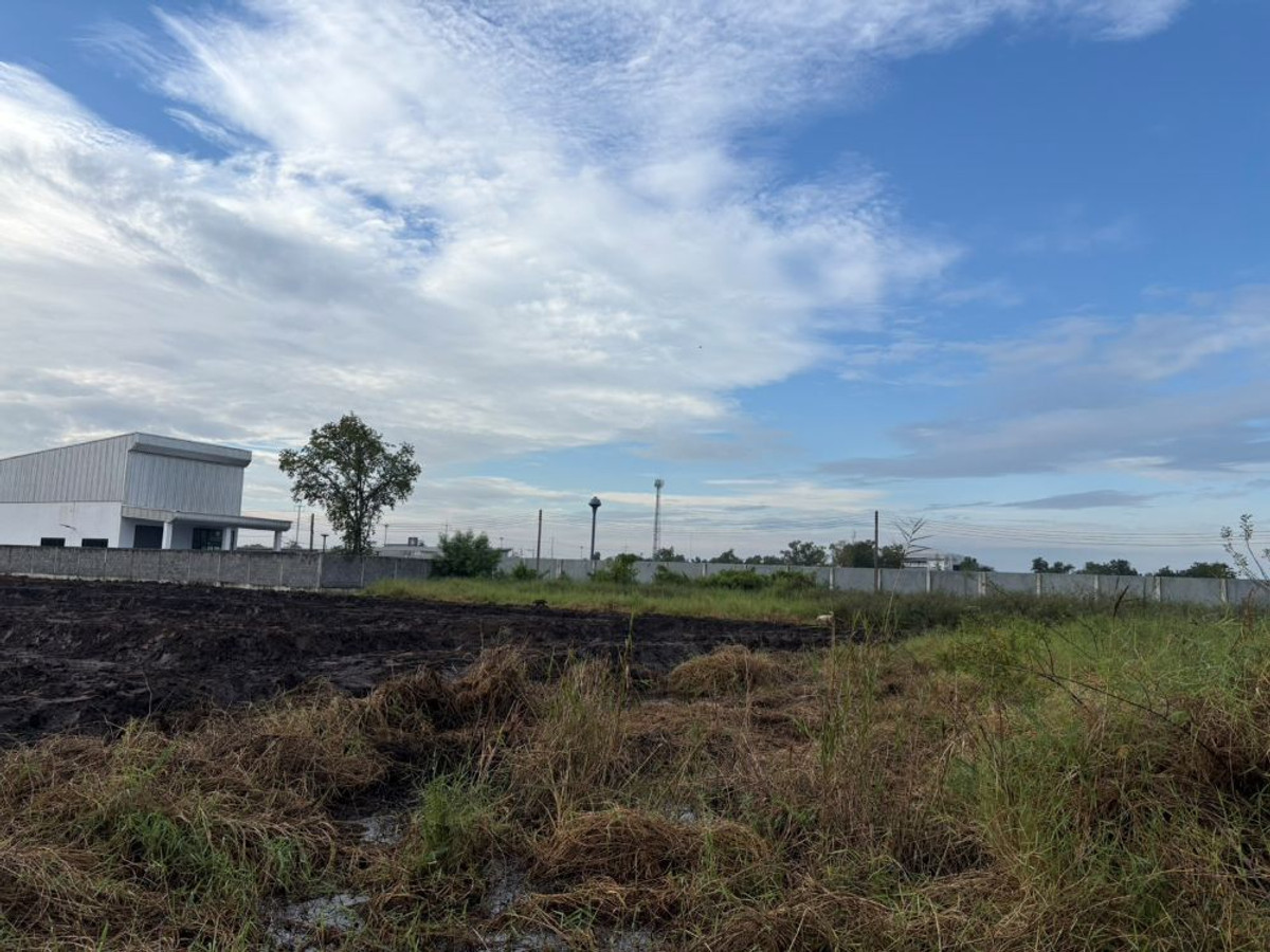 Land for sale, 2 adjacent plots filled with title deed, Khlong 5, Thanyaburi 2 ngan, 80 sq m., 2 ways to enter and exit, near the motorway, free transfer. Loading...