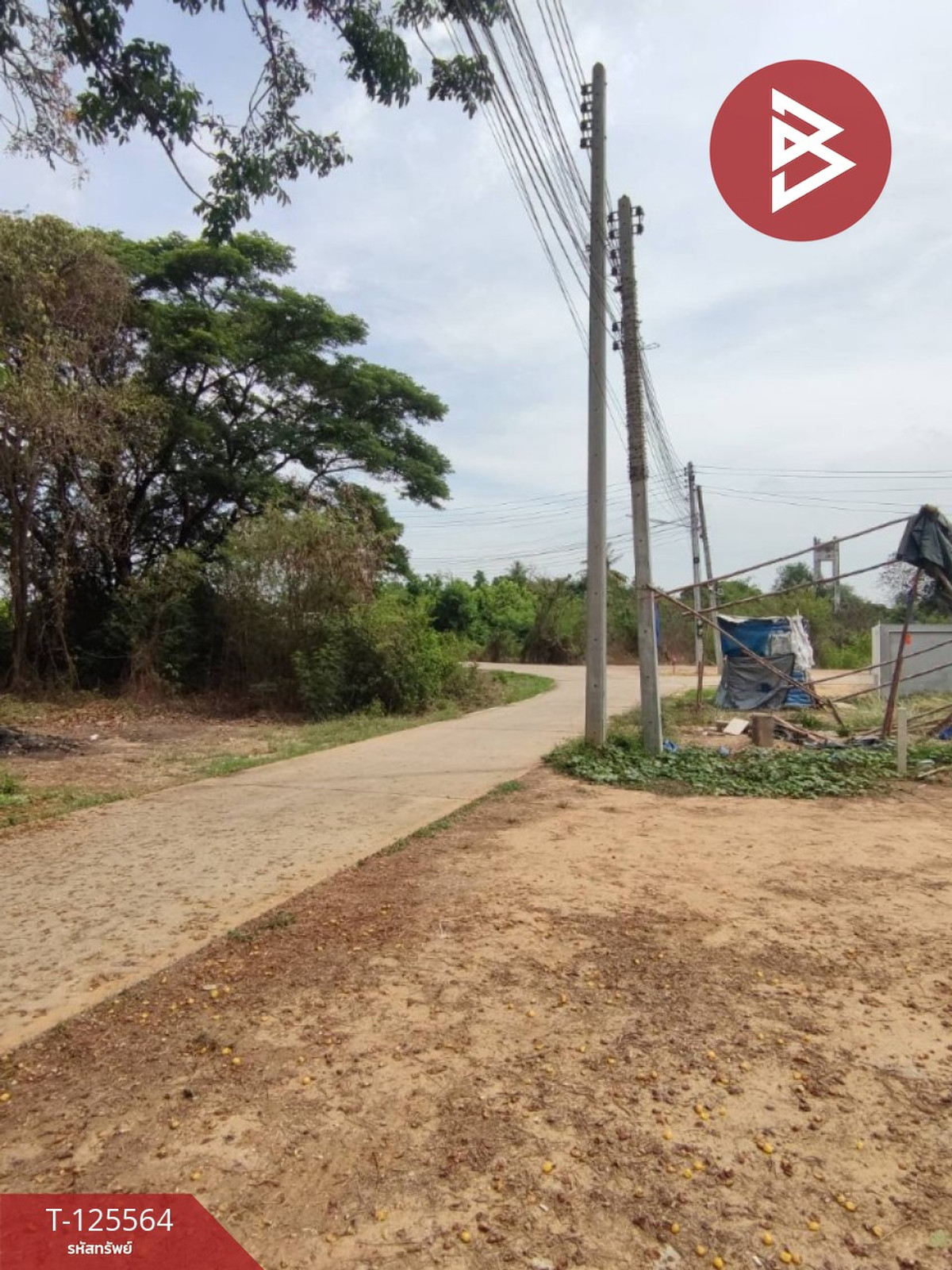 Land for sale, already filled, area 45 square wah, Lat Bua Subdistrict, Ban Pong, Ratchaburi. Loading...