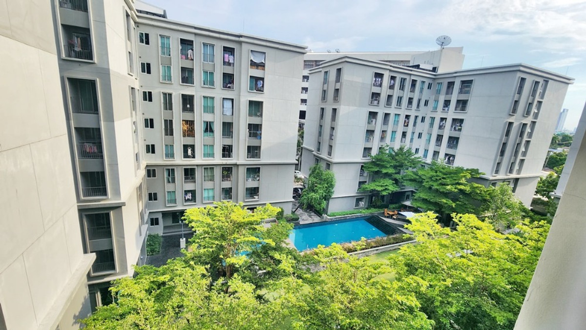 For RentCondoKasetsart, Ratchayothin : Pool view corner room Fully furnished ⭐For rent Chapter One The Campus Kaset (Chapter One The Campus Kaset)
