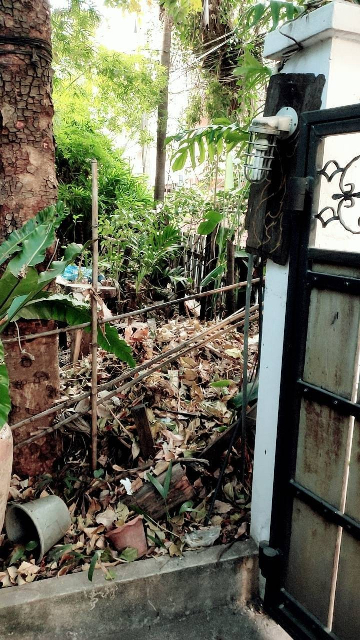 ขายที่ดินรัชดา ห้วยขวาง : ขายที่ดินรัชดา14 แยก 3 (100 ตร.ว.) ใจกลางรัชดา ใกล้ MRT ห้วยขวาง