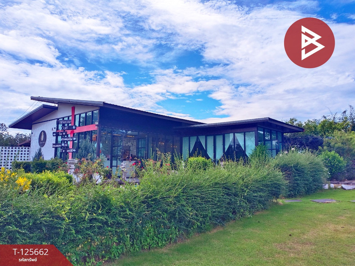 Land for sale with cafe business, area 14 rai 42.9 square wah, Chaiphon, Mueang Bueng Kan Loading...