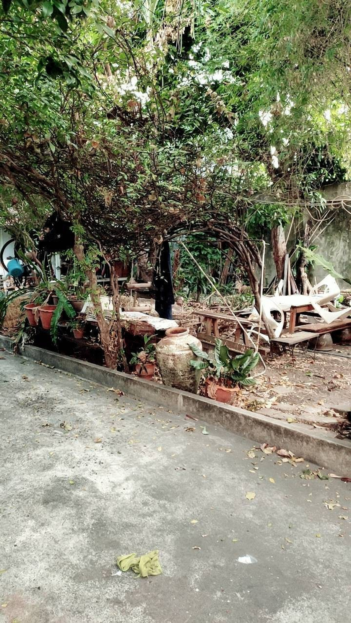 ขายที่ดินรัชดา ห้วยขวาง : ขายที่ดินรัชดา14 แยก 3 (100 ตร.ว.) ใจกลางรัชดา ใกล้ MRT ห้วยขวาง