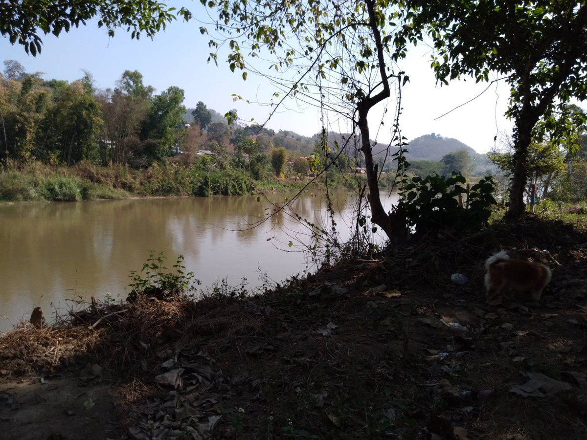 ขายที่ดินเชียงราย : ฃายที่ดินสวยมาก ติดแม่น้ำกก เมือง เชียงราย ไร่ละ 50000 บาท