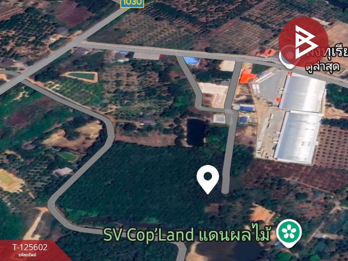 Land for sale, area 1 rai 50.9 sq m, Salaeng, Chanthaburi. Loading...