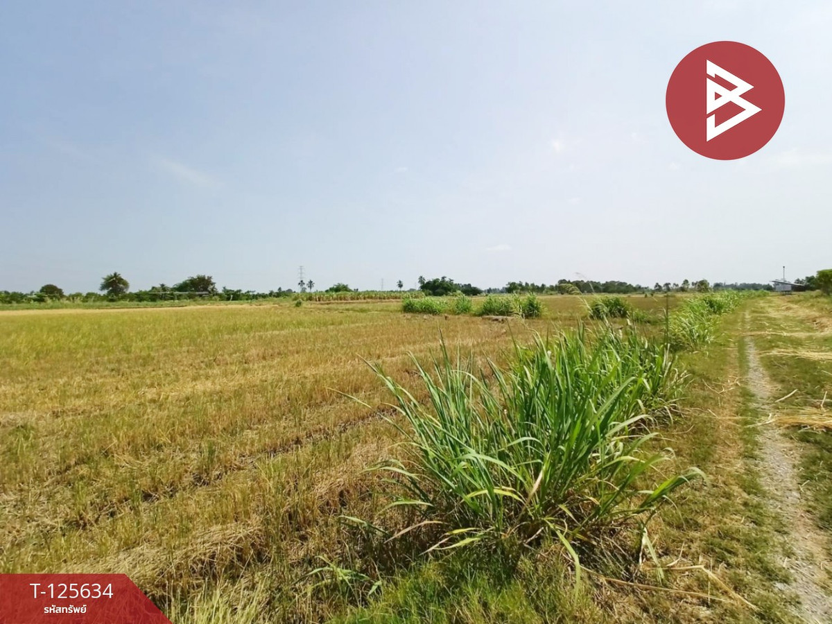 ขายที่ดินนครสวรรค์ : ขายที่ดิน เนื้อที่ 2 ไร่ 2 งาน 99.3 ตารางวา บ้านมะเกลือ เมืองนครสวรรค์