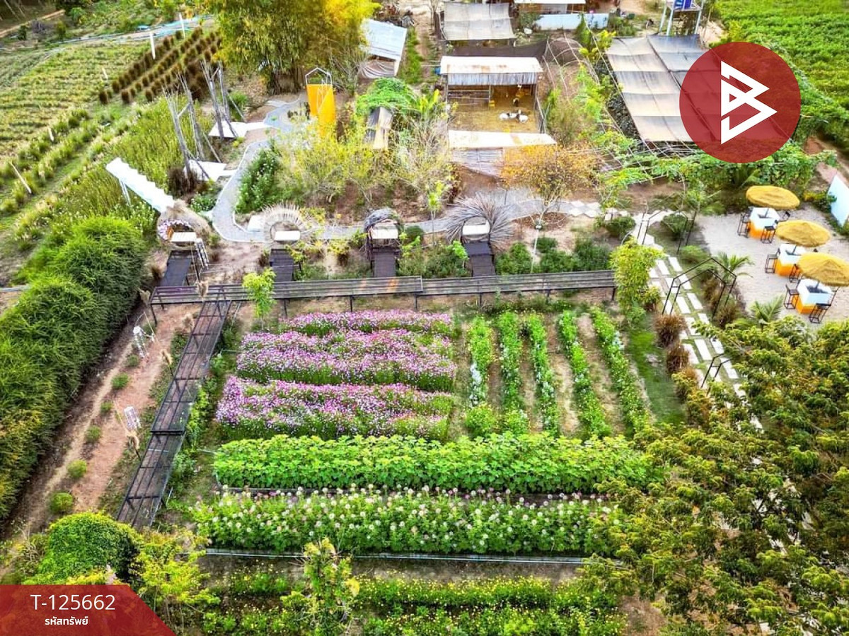 Land for sale with cafe business, area 14 rai 42.9 square wah, Chaiphon, Mueang Bueng Kan Loading...