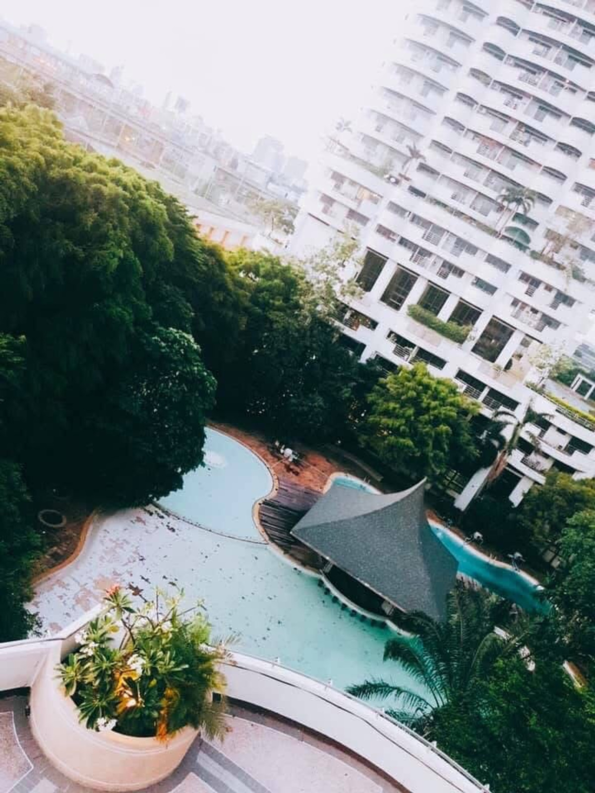 ขายคอนโดพัฒนาการ ศรีนครินทร์ : ขาย ด่วน! คอนโด ฟลอร่าวิลล์ 253ตรม.ใกล้ แอร์พอร์ตลิ้งค์หัวหมาก
