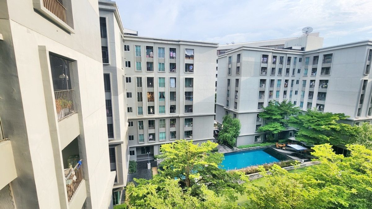 For RentCondoKasetsart, Ratchayothin : Pool view corner room Fully furnished ⭐For rent Chapter One The Campus Kaset (Chapter One The Campus Kaset)