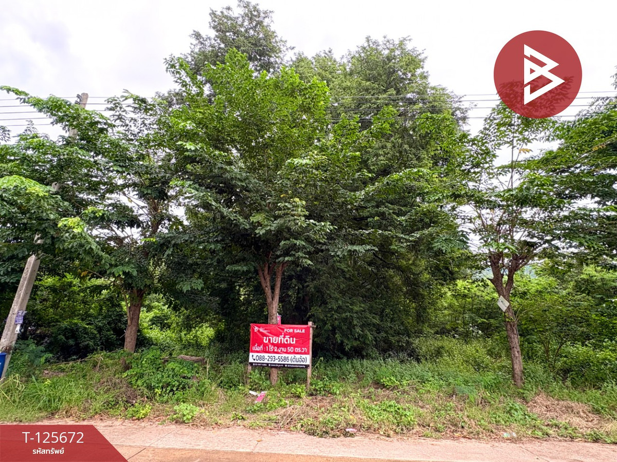 ขายที่ดินนครสวรรค์ : ขายที่ดิน เนื้อที่ 1 ไร่ 2 งาน 50 ตร.วา ตาคลี นครสวรรค์