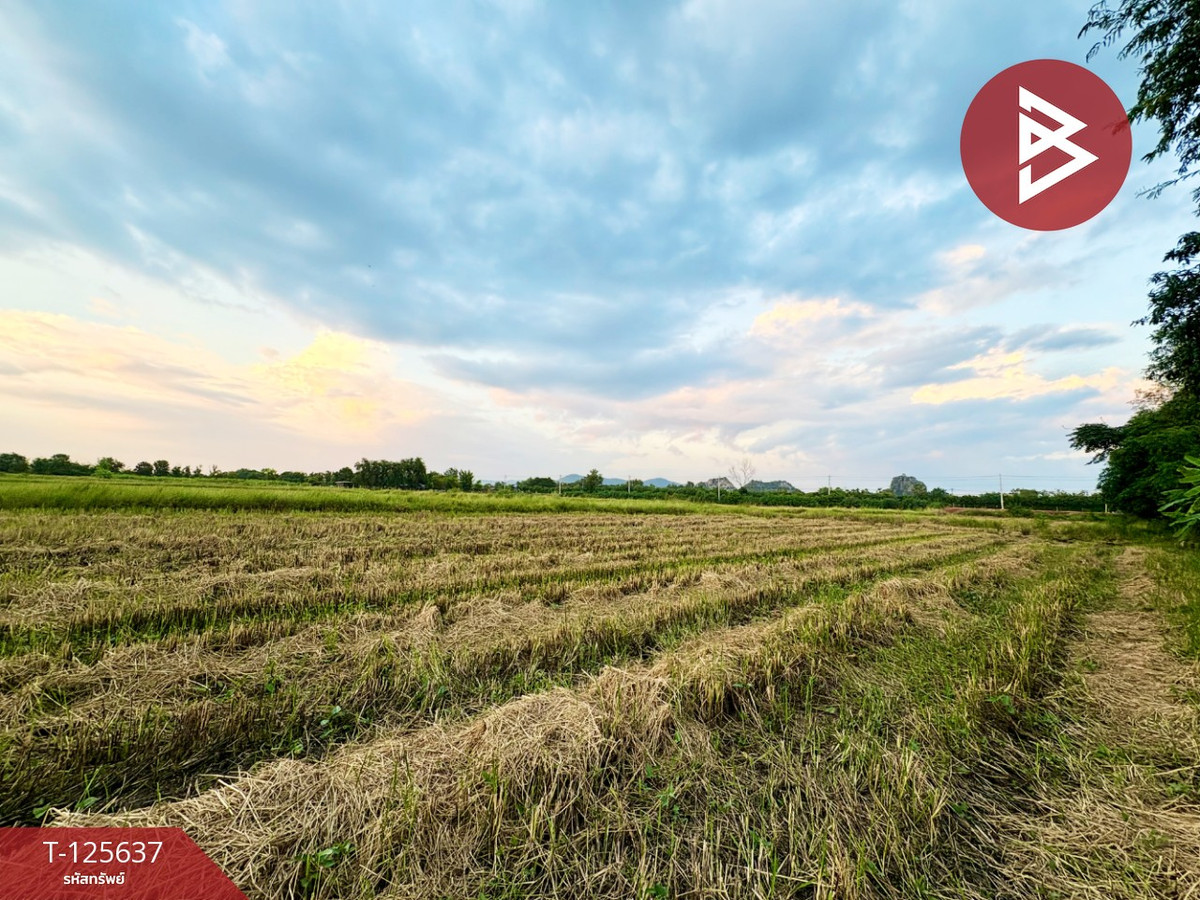 ขายที่ดินนครสวรรค์ : ขายที่ดินเปล่า เนื้อที่ 1 ไร่ 1 งาน 67.2 ตารางวา เขตเทศบาลเมืองตาคลี นครสวรรค์