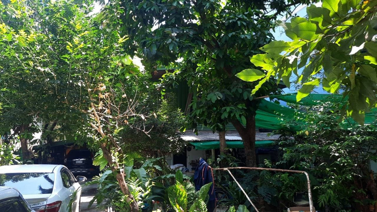 ขายที่ดินรัชดา ห้วยขวาง : ขายที่ดินรัชดา14 แยก 3 (100 ตร.ว.) ใจกลางรัชดา ใกล้ MRT ห้วยขวาง