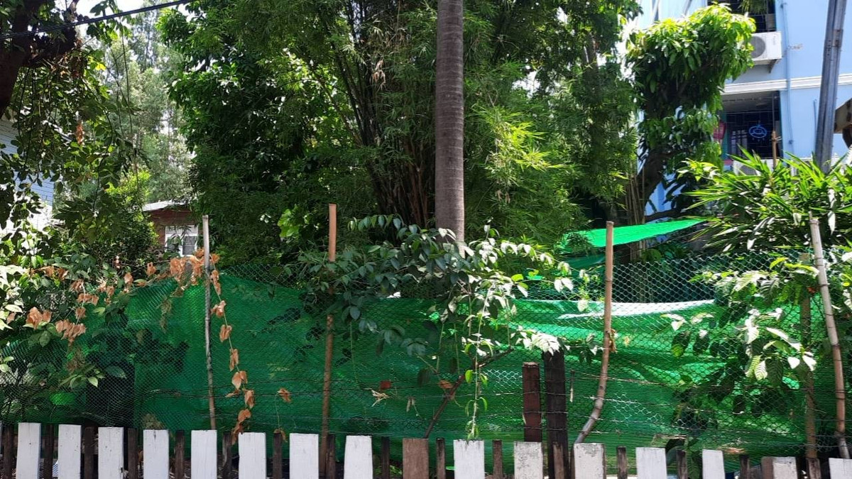 ขายที่ดินรัชดา ห้วยขวาง : ขายที่ดินรัชดา14 แยก 3 (100 ตร.ว.) ใจกลางรัชดา ใกล้ MRT ห้วยขวาง