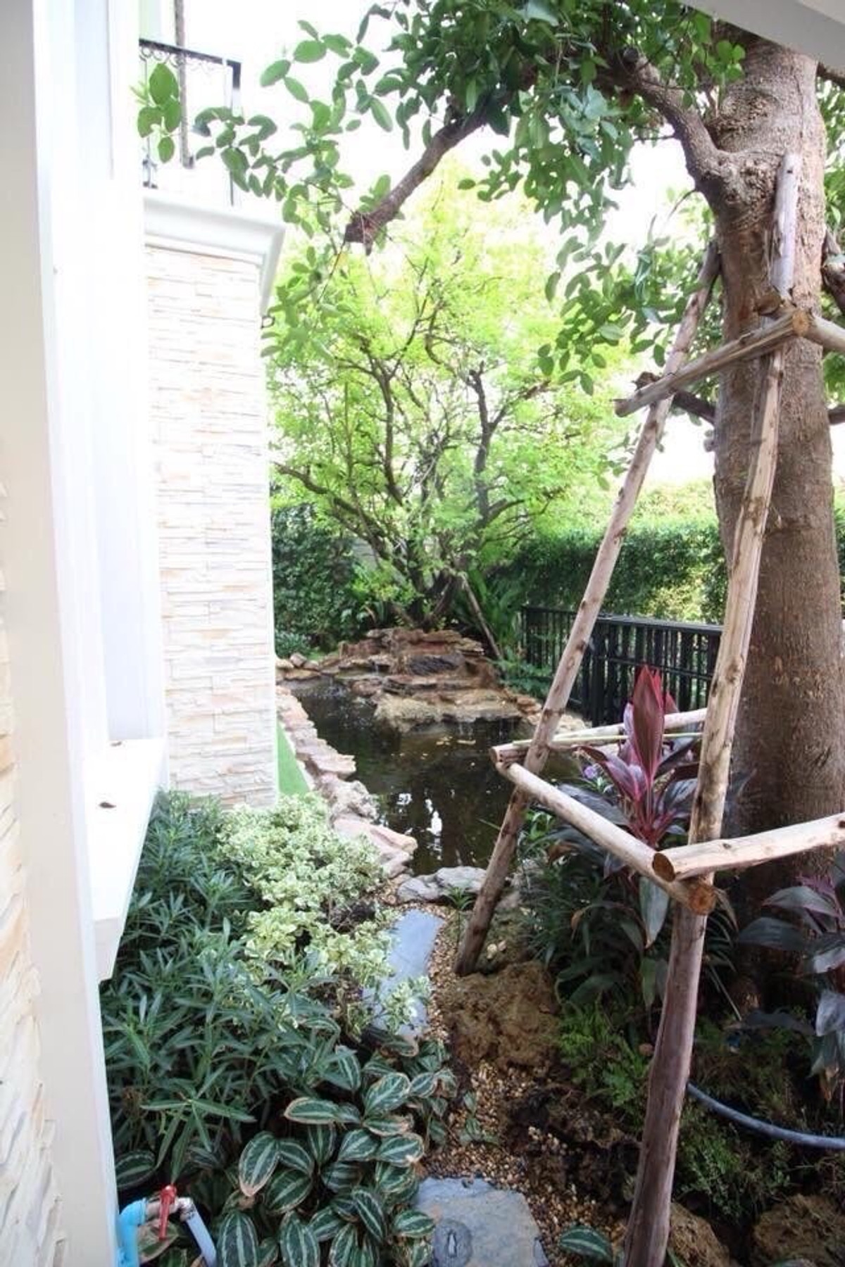 ให้เช่าบ้านเกษตร นวมินทร์ ลาดปลาเค้า : 📢👇บ้านเดี่ยวหรู แกรนดิโอ ลาดพร้าว–เกษตรนวมินทร์สภาพใหม่ เฟอร์ครบ พร้อมอยู่ ทำเลดี เดินทางสะดวก ใกล้ถนนหลักหลายสาย