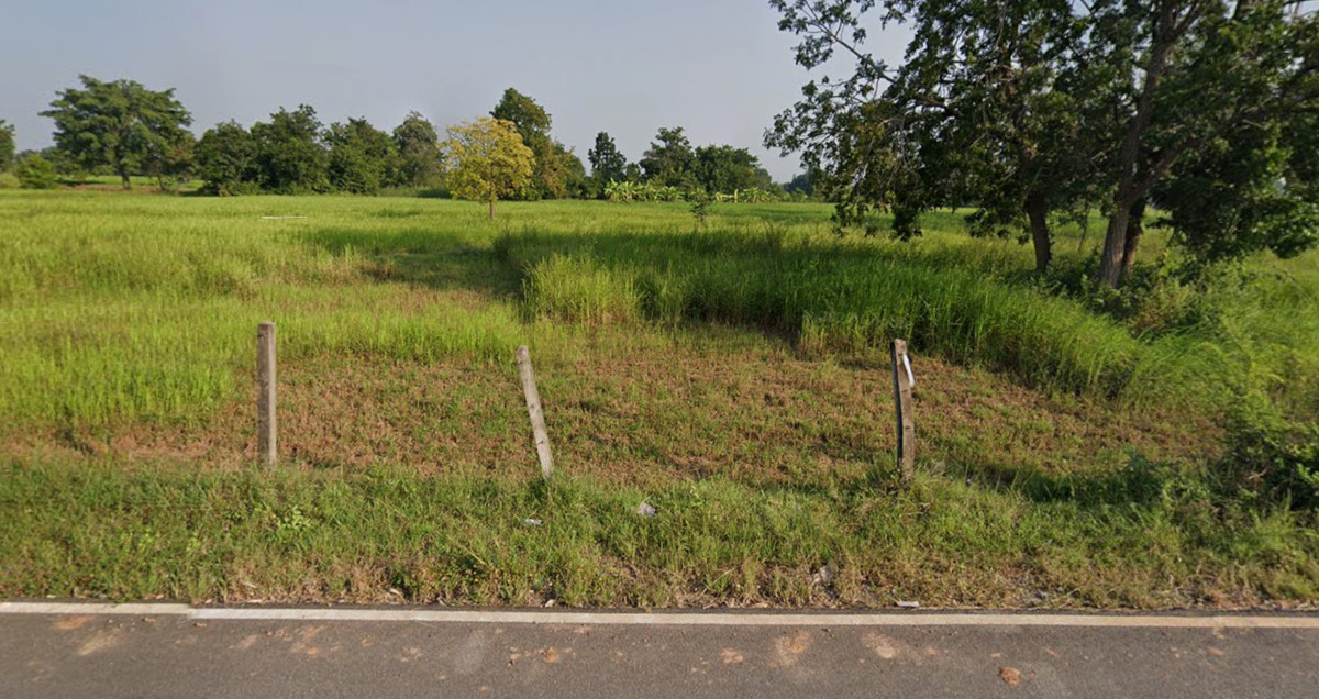 For SaleLandKorat Nakhon Ratchasima : Land for sale, 50 rai, Bua Yai Subdistrict, Bua Yai District, Nakhon Ratchasima Province, near Bua Yai Hospital.