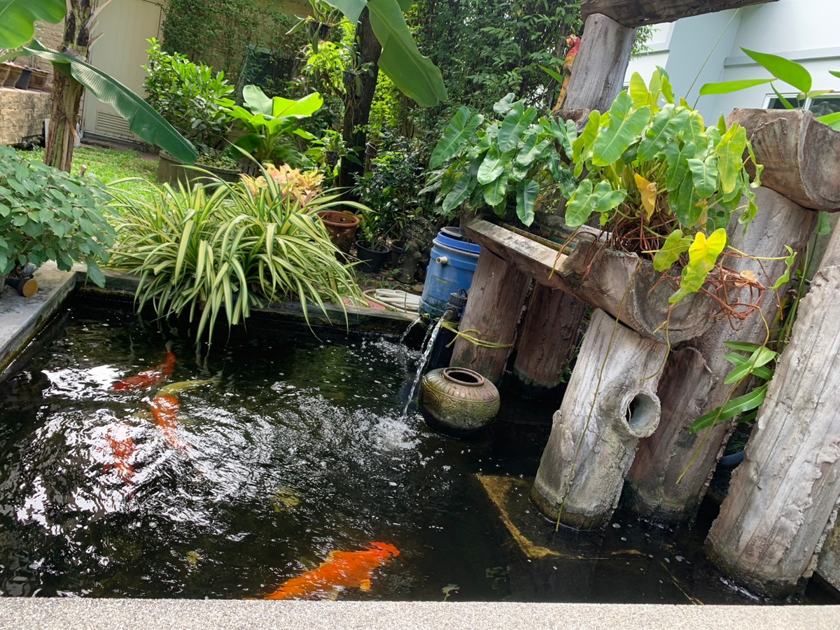 ขายบ้านสมุทรปราการ สำโรง : 96836 - ขายบ้านเดี่ยวที่คุ้มราคา 2 ระเบียงด้านหน้าติดทะเลสาป ล้อมรอบด้วยสวนสีเขียวมีพื้นที่สำหรับใช้วีลแชร์ได้ โครงการบ้านเดี่ยวสุดหรู เพอร์เฟคเพลสลาดกระบัง 4 สุขุมวิท77