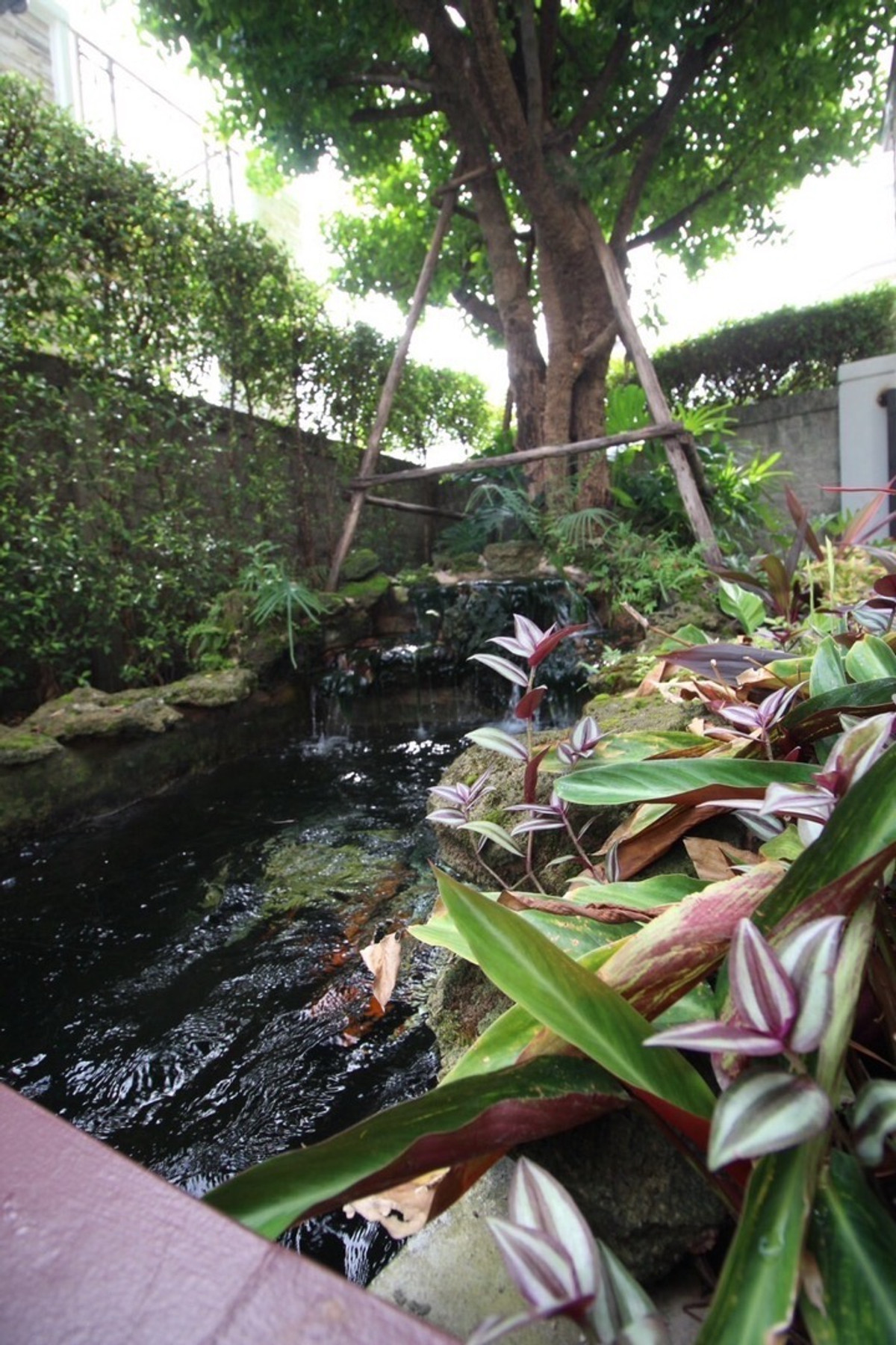 ให้เช่าบ้านเกษตร นวมินทร์ ลาดปลาเค้า : 📢👇บ้านเดี่ยวหรู แกรนดิโอ ลาดพร้าว–เกษตรนวมินทร์สภาพใหม่ เฟอร์ครบ พร้อมอยู่ ทำเลดี เดินทางสะดวก ใกล้ถนนหลักหลายสาย