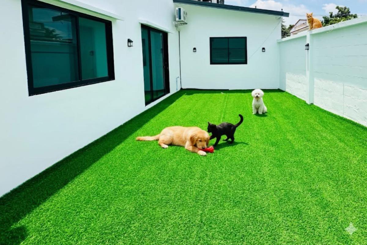 For SaleHouseBang kae, Phetkasem : For Sale Twin house, Soi Petchkasem 94, Weerawat Village , newly renovated , Bang Khae Nuea , Bang Khae , Bangkok , CX-135771