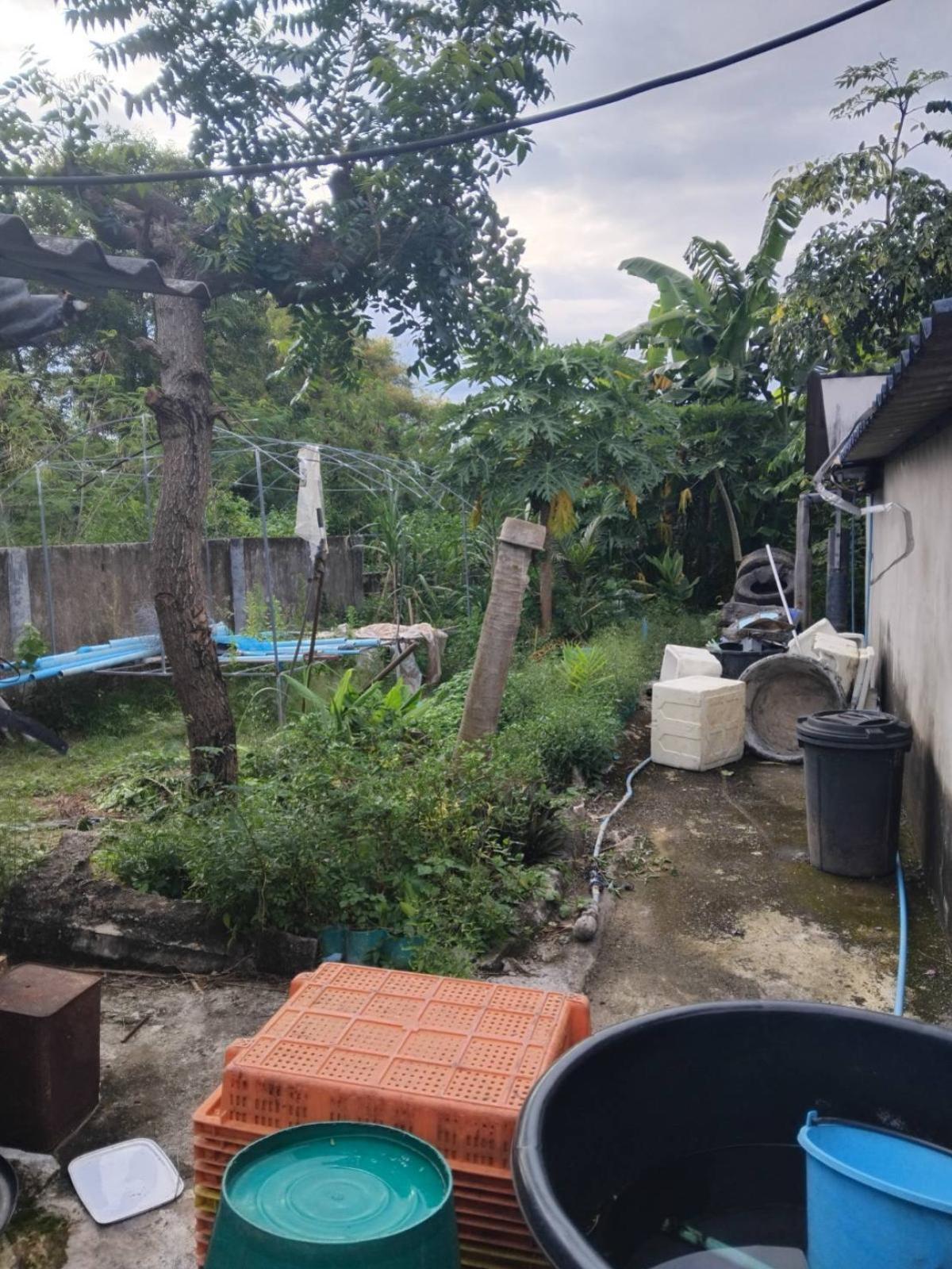 For SaleHouseRayong : For Sale 1 - storey house area 1-42.3 square wah Soi Khao Sampao Thong Phae Rayong , Phe , Mueang Rayong , Rayong , CX-135336