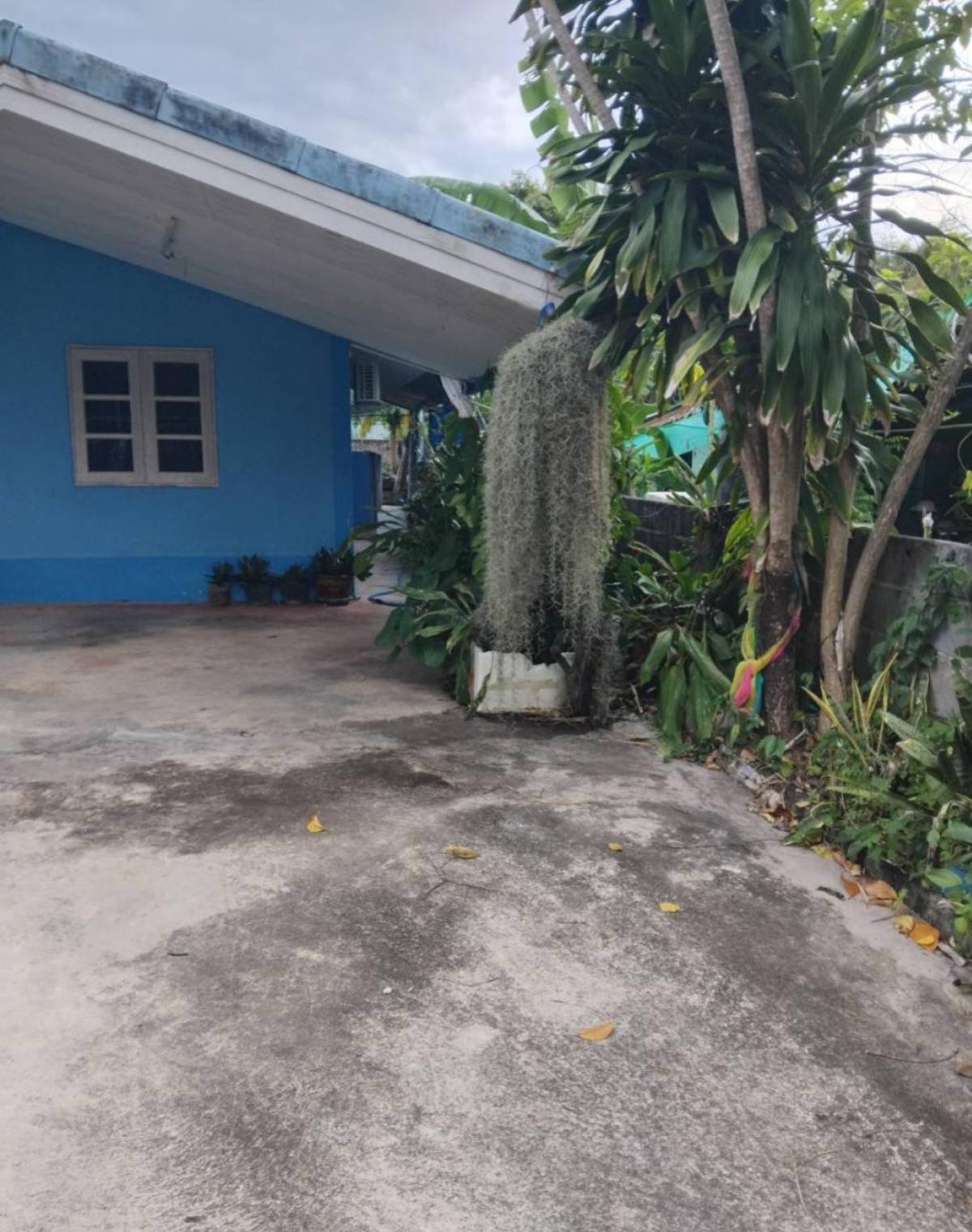For SaleHouseRayong : For Sale 1 - storey house area 1-42.3 square wah Soi Khao Sampao Thong Phae Rayong , Phe , Mueang Rayong , Rayong , CX-135336