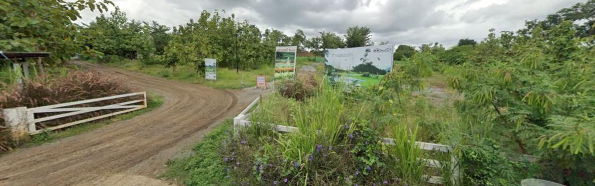 ขายที่ดินปากช่อง เขาใหญ่ : ขายที่ดินหมูสี @เขาใหญ่ วิวสวย หมูสี ปากช่อง นครราชสีมา CX-135669