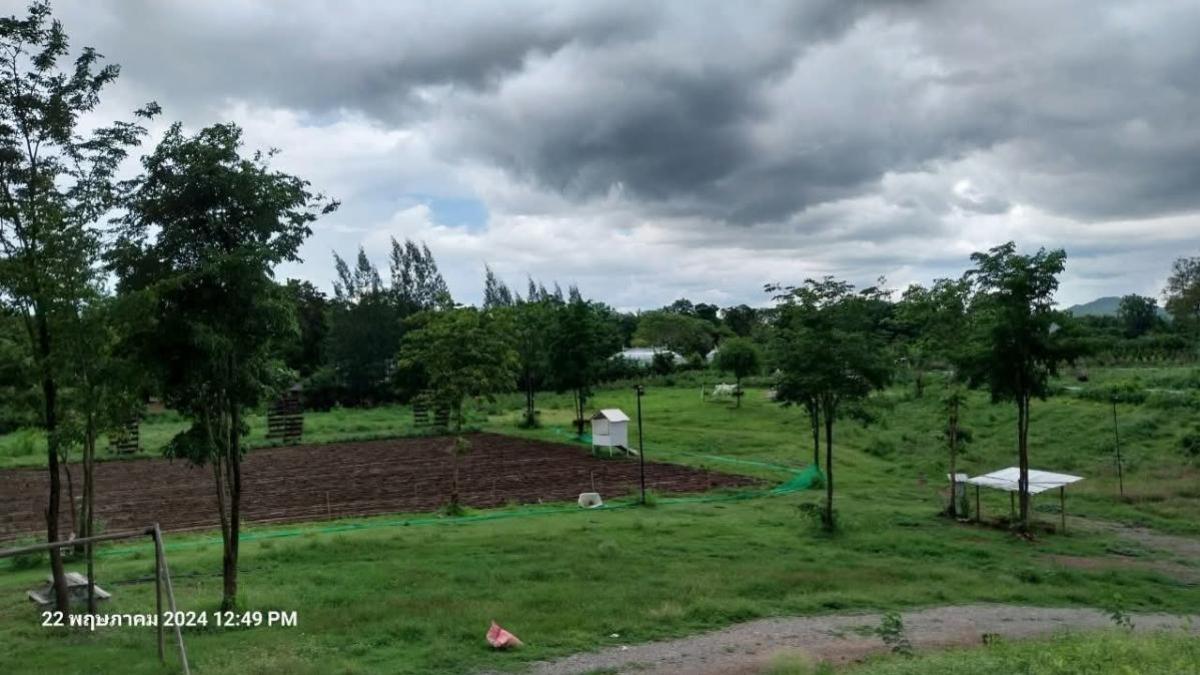 ขายที่ดินปากช่อง เขาใหญ่ : ขายที่ดินหมูสี @เขาใหญ่ วิวสวย หมูสี ปากช่อง นครราชสีมา CX-135669