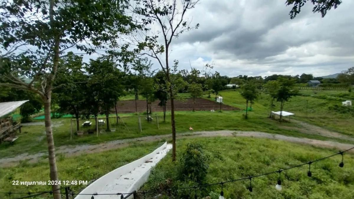 ขายที่ดินปากช่อง เขาใหญ่ : ขายที่ดินหมูสี @เขาใหญ่ วิวสวย หมูสี ปากช่อง นครราชสีมา CX-135669