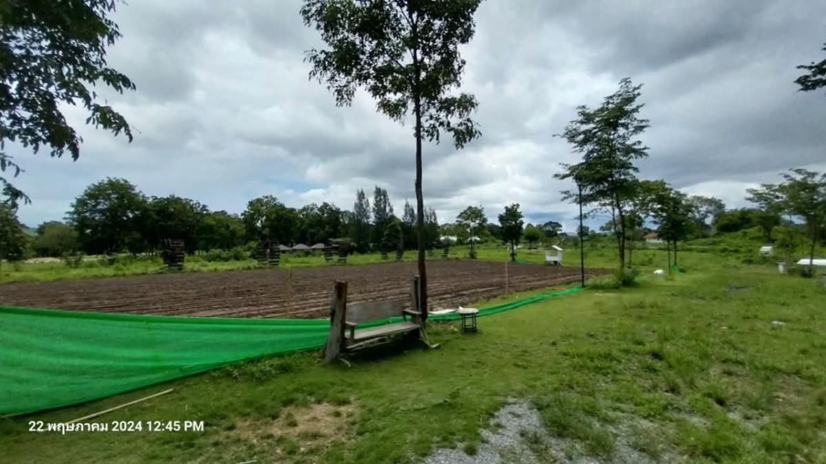 ขายที่ดินปากช่อง เขาใหญ่ : ขายที่ดินหมูสี @เขาใหญ่ วิวสวย หมูสี ปากช่อง นครราชสีมา CX-135669