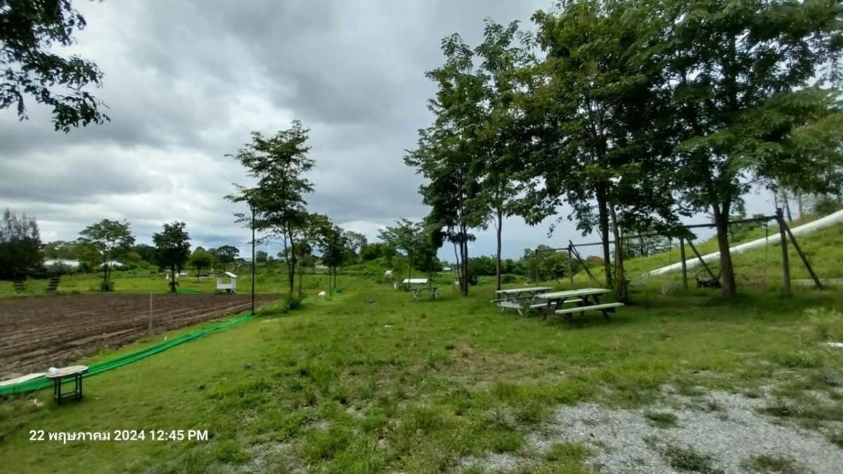 ขายที่ดินปากช่อง เขาใหญ่ : ขายที่ดินหมูสี @เขาใหญ่ วิวสวย หมูสี ปากช่อง นครราชสีมา CX-135669