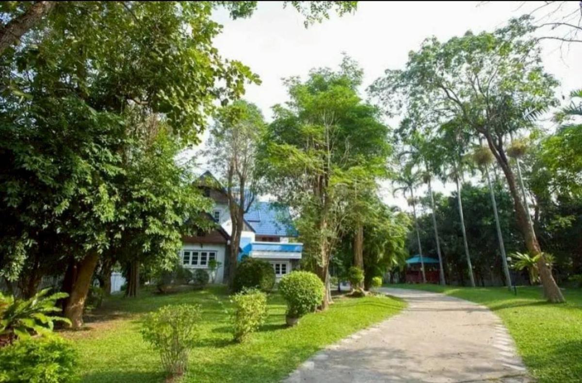 For SaleHousePak Chong KhaoYai : For Sale 3 - storey house area 1-3-85 sq m. Pho Klang Nakhon Ratchasima , Pho Klang , Mueang Nakhon Ratchasima , Nakhon Ratchasima , CX-135630