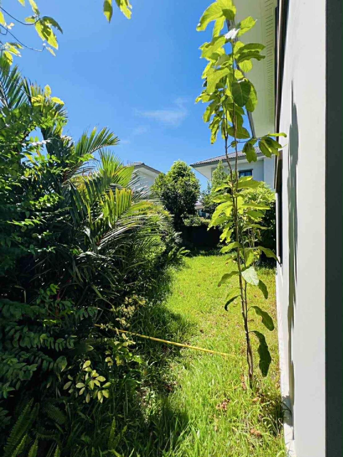 For SaleHouseChaengwatana, Muangthong : For Sale House , Passorn Chaengwattana-Chaiyapruek , wide frontage , Bang Tanai , Pak Kret , Nonthaburi , CX-135623