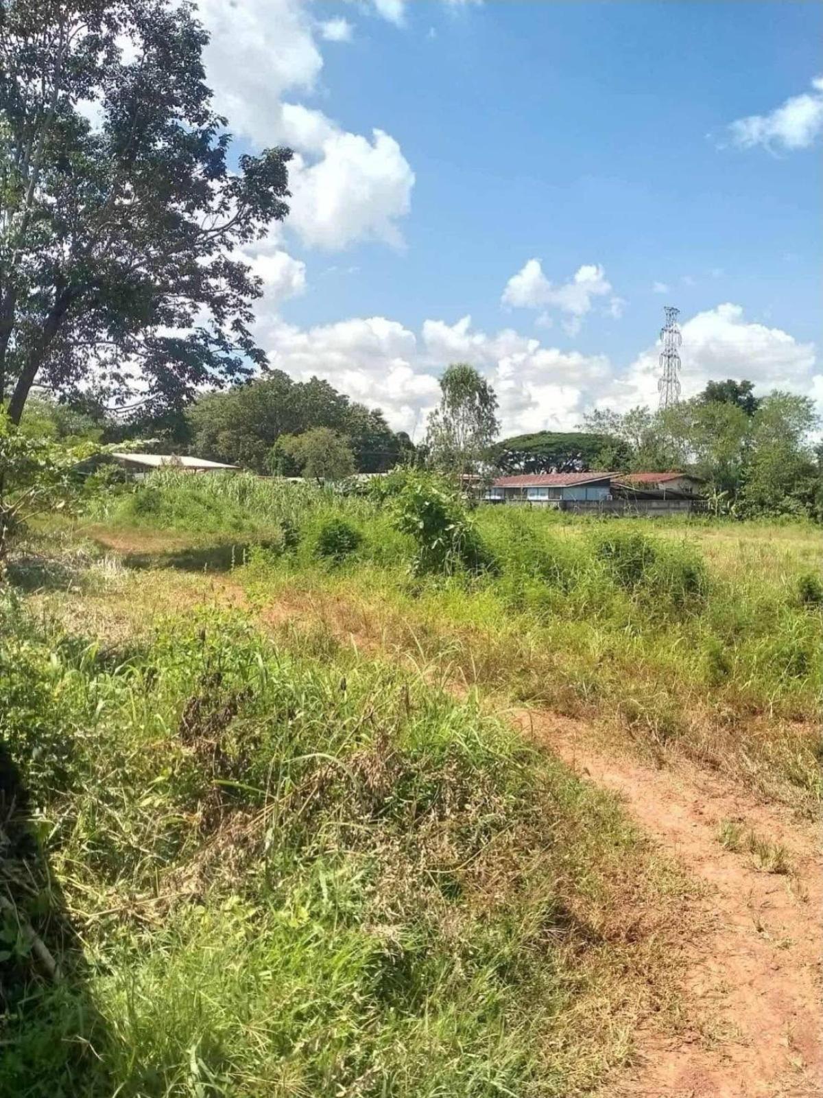 ขายที่ดินนครพนม : ขายที่ดินเปล่า พื้นที่ 7-1-6.6 ตารางวา ตำบล บ้านผึ้ง อำเภอเมืองนครพนม นครพนม บ้านผึ้ง เมืองนครพนม นครพนม CX-135443